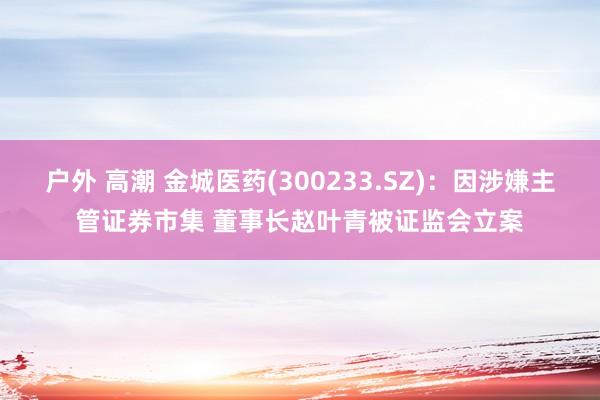 户外 高潮 金城医药(300233.SZ)：因涉嫌主管证券市集 董事长赵叶青被证监会立案