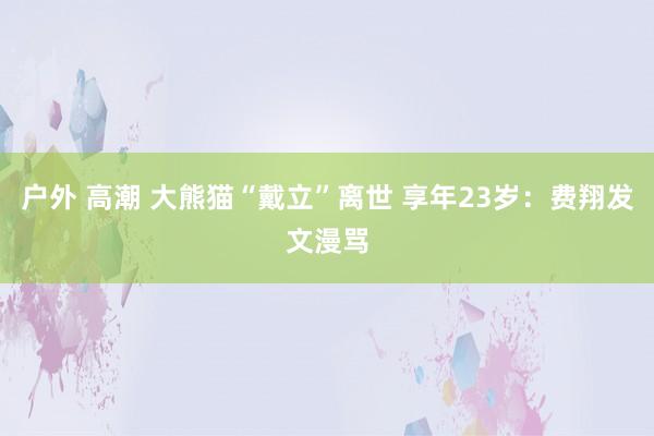 户外 高潮 大熊猫“戴立”离世 享年23岁：费翔发文漫骂