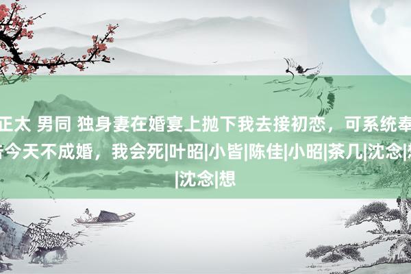 正太 男同 独身妻在婚宴上抛下我去接初恋，可系统奉告今天不成婚，我会死|叶昭|小皆|陈佳|小昭|茶几|沈念|想