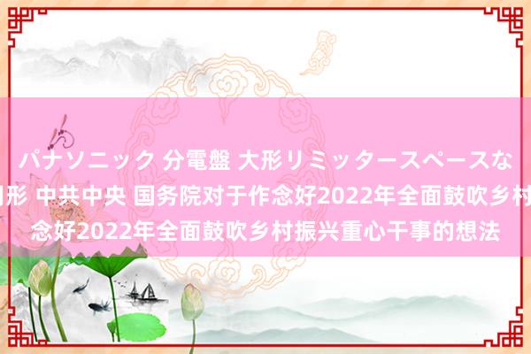 パナソニック 分電盤 大形リミッタースペースなし 露出・半埋込両用形 中共中央 国务院对于作念好2022年全面鼓吹乡村振兴重心干事的想法